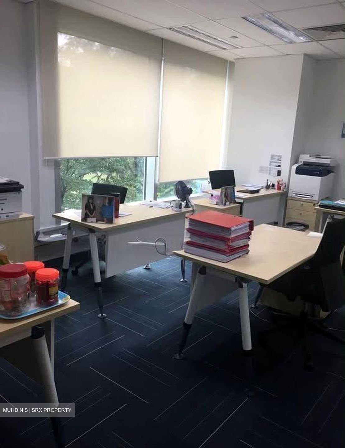 Park Avenue Rochester (D5), Office #638090651